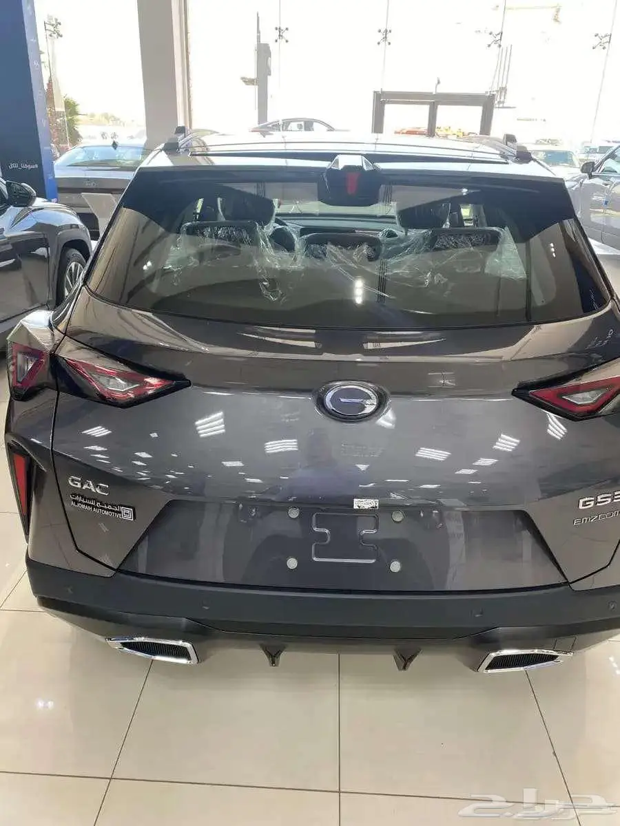GAC GS3 EMZOOM2025 index