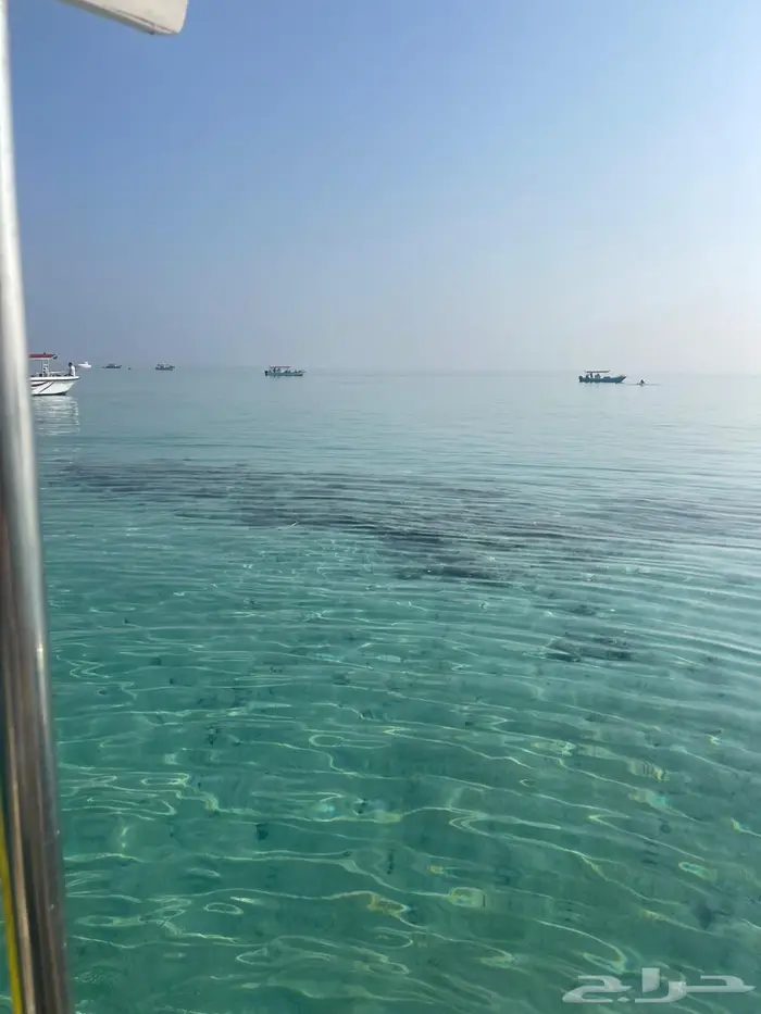 تاجير قوارب ويخوت رحلات بحريه ورحلات جزيره بياضه 12