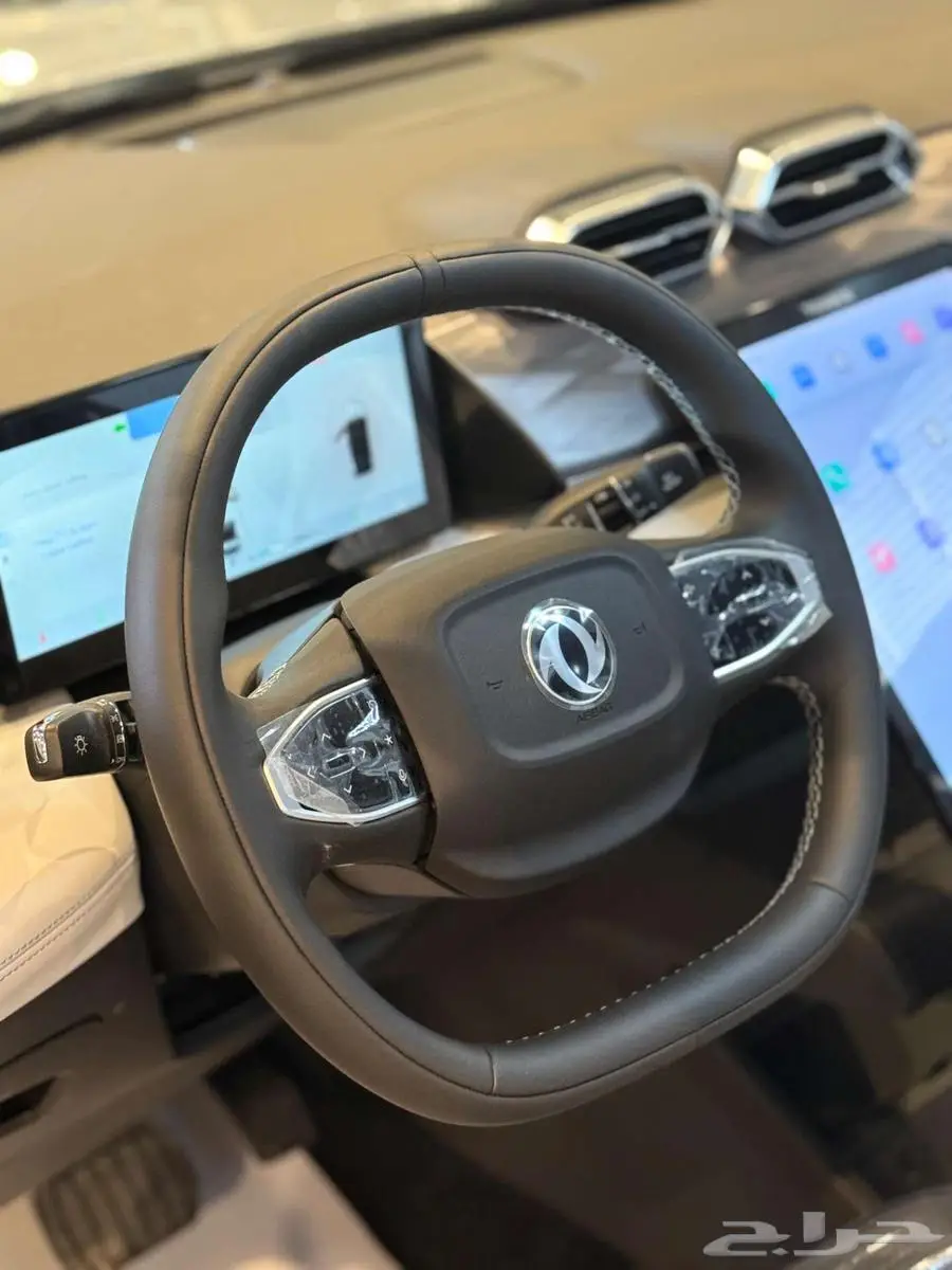 دونج فينج ميج 2025 13