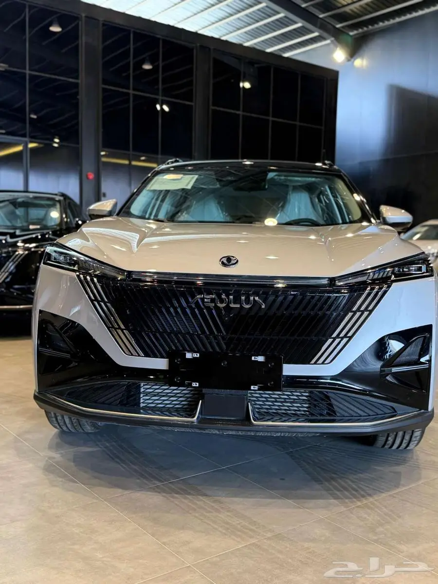 دونج فينج ميج 2025 20