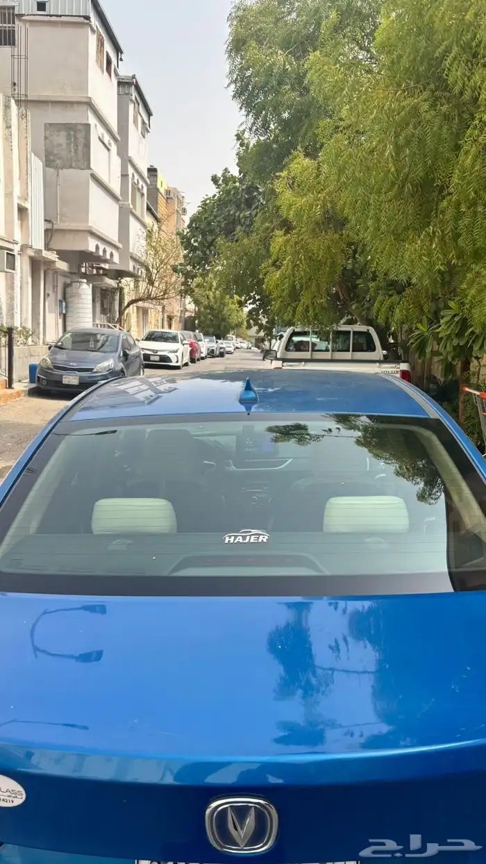 شنجان السفن 2019 3