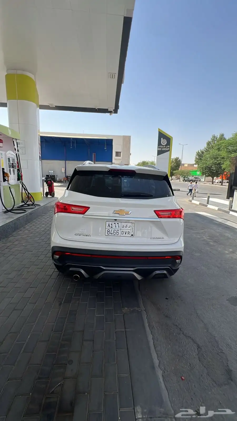 كابتيفا بريمر22 3