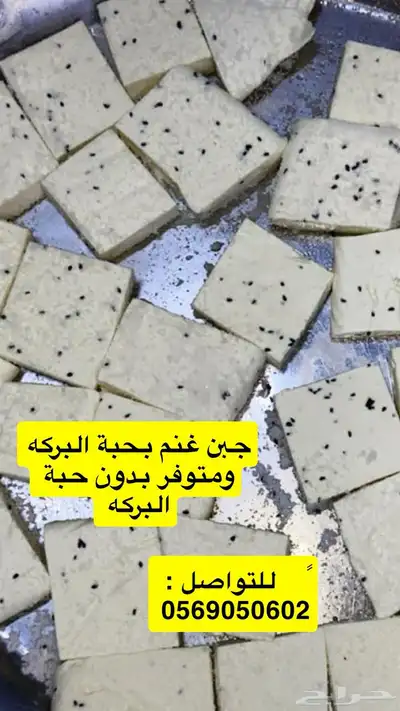 خاثر قشطه زبده لبنه سمن لبن مقدوس نوعين مفرزنات كل شي موجود 10