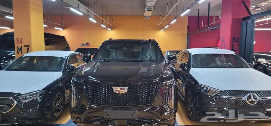 سكاليد بلاتنيوم سبورت قصير 2025 - وارد كوريا 0