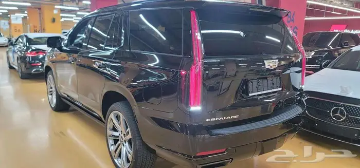 سكاليد بلاتنيوم سبورت قصير 2025 - وارد كوريا 1