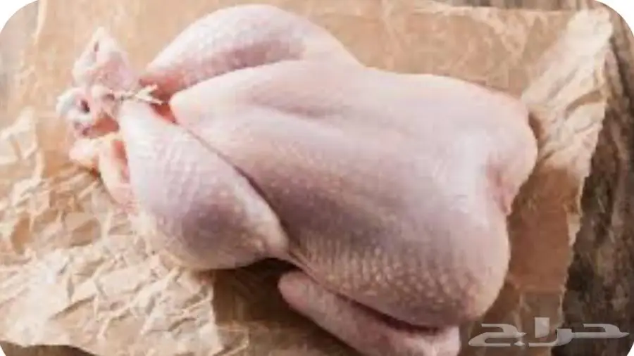 دجاج مدبوح جميع الاوزان والكميات 0