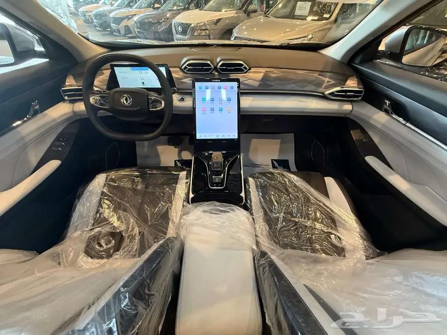 دونج فينج ميج 2025 11