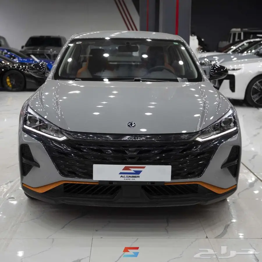 دونج فينج شاين E1 موديل 2025 1