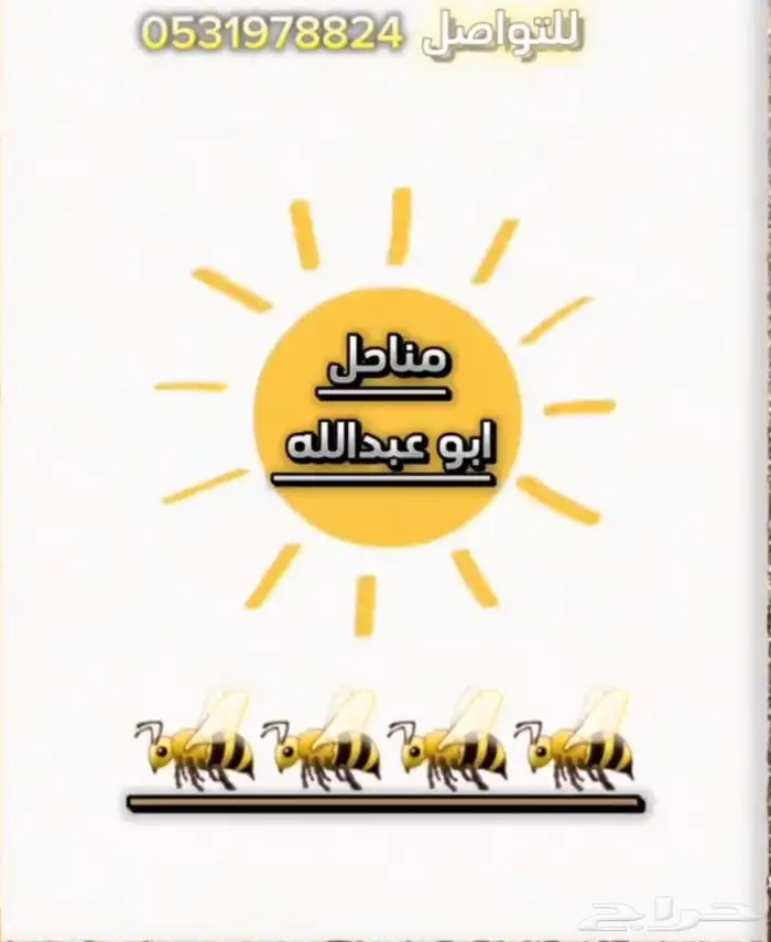 مناحل ابو عبدالله عسل طلح 2