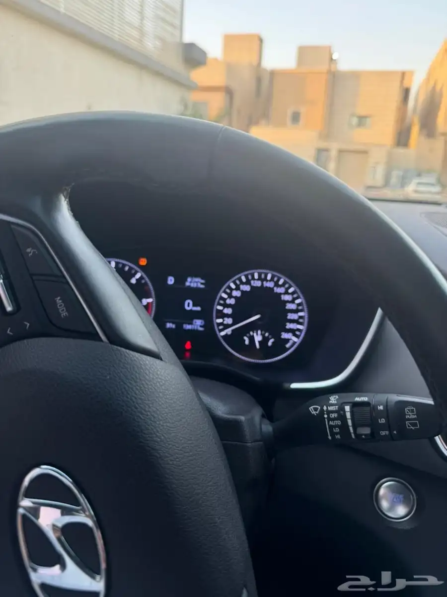 سنتافي 2019 22