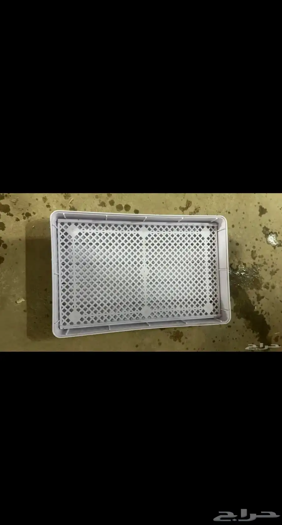 فقاسه نضيفه 5