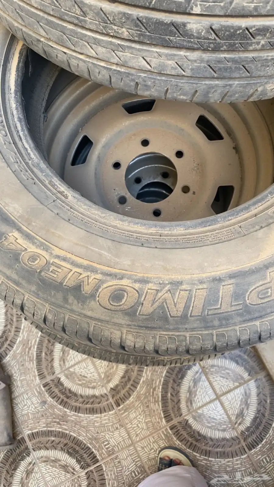 جنوط دايو  شيال 2