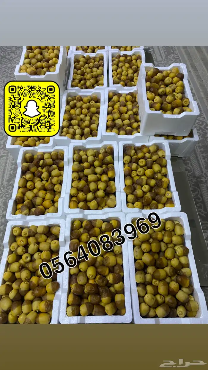 روثانه فاخره 2