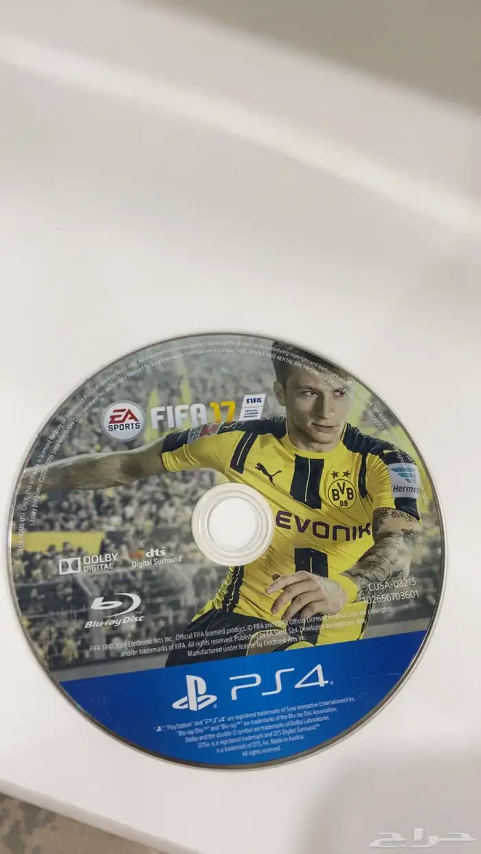 فيفا 1