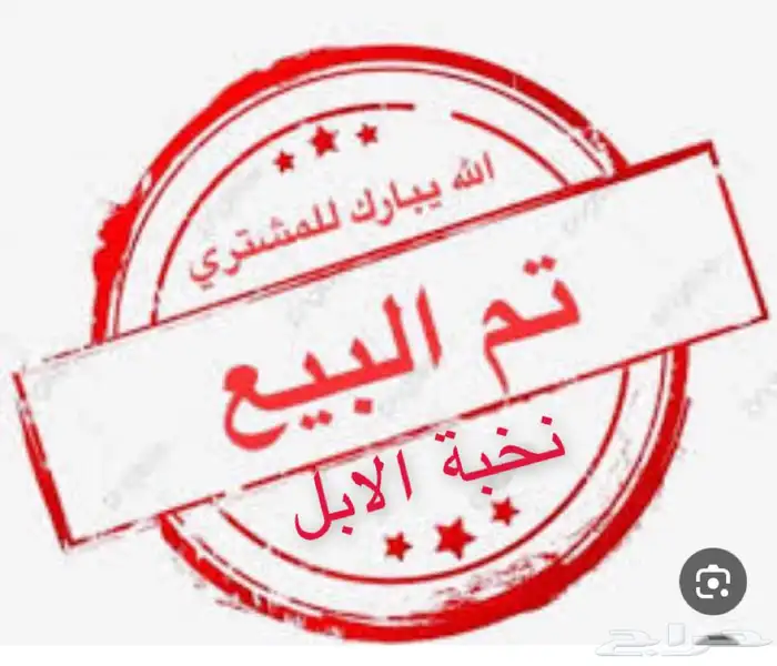 تم بيع خلفه بداوه ثنو صفراء 0