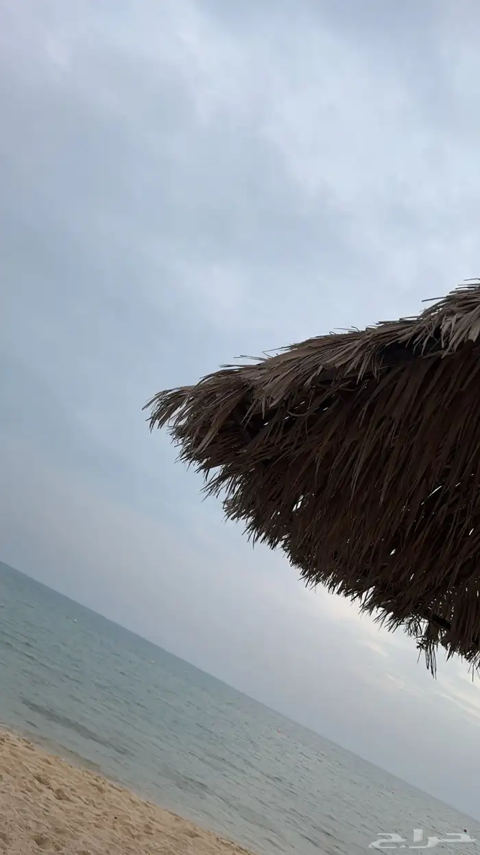 توصيل البحرين والجبيل 0