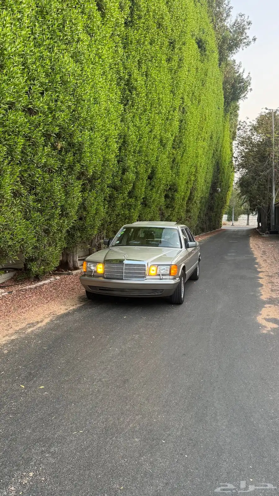 للبيع مرسيدس SEL300 1989 لهواة النوادر والمخزن 5