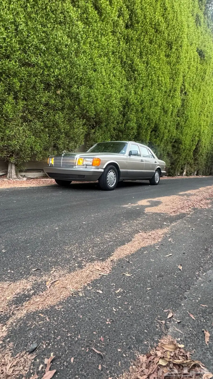للبيع مرسيدس SEL300 1989 لهواة النوادر والمخزن 9