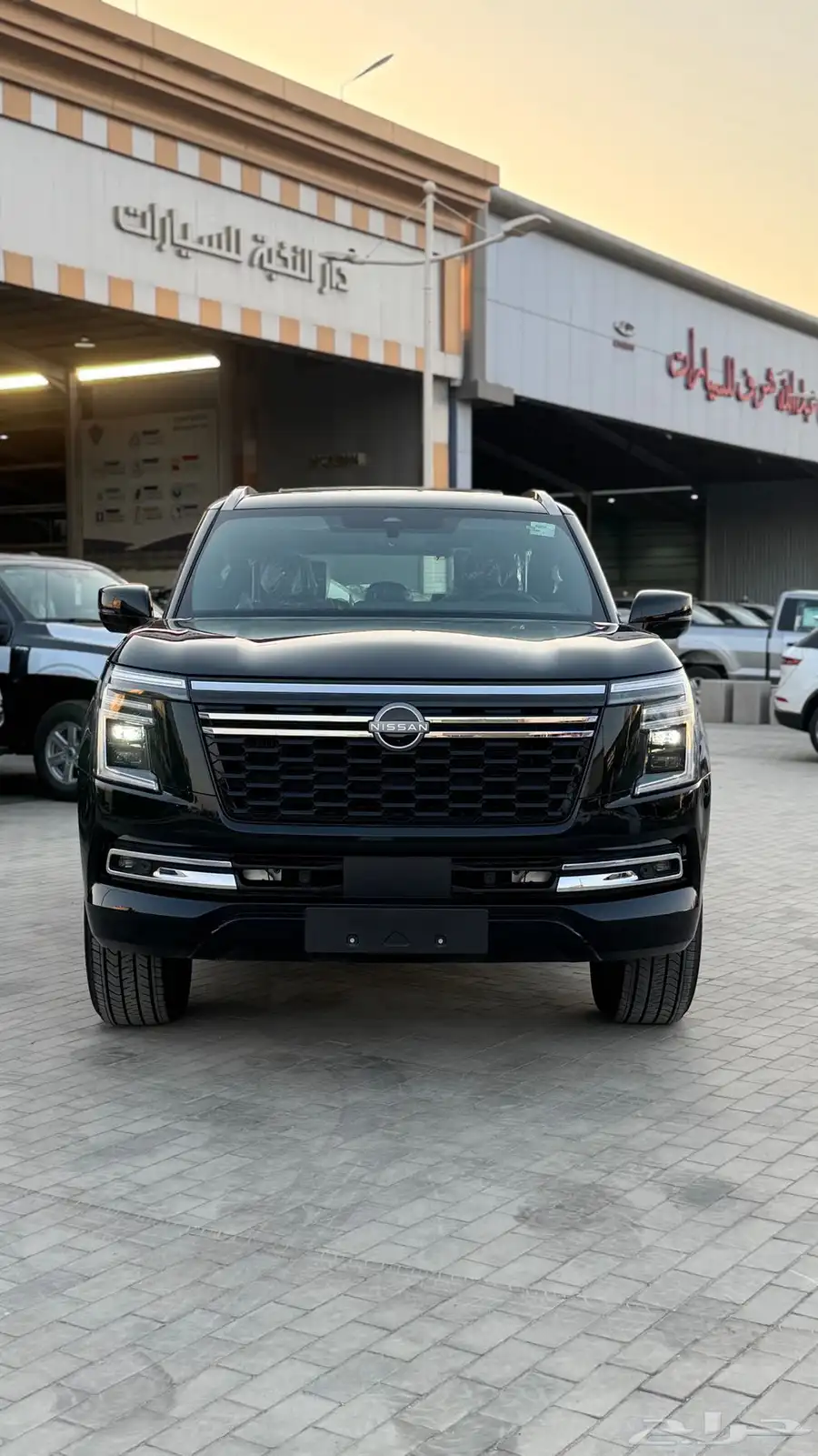 باترول بلاتينيوم (تنفس طبيعي) 2025 1