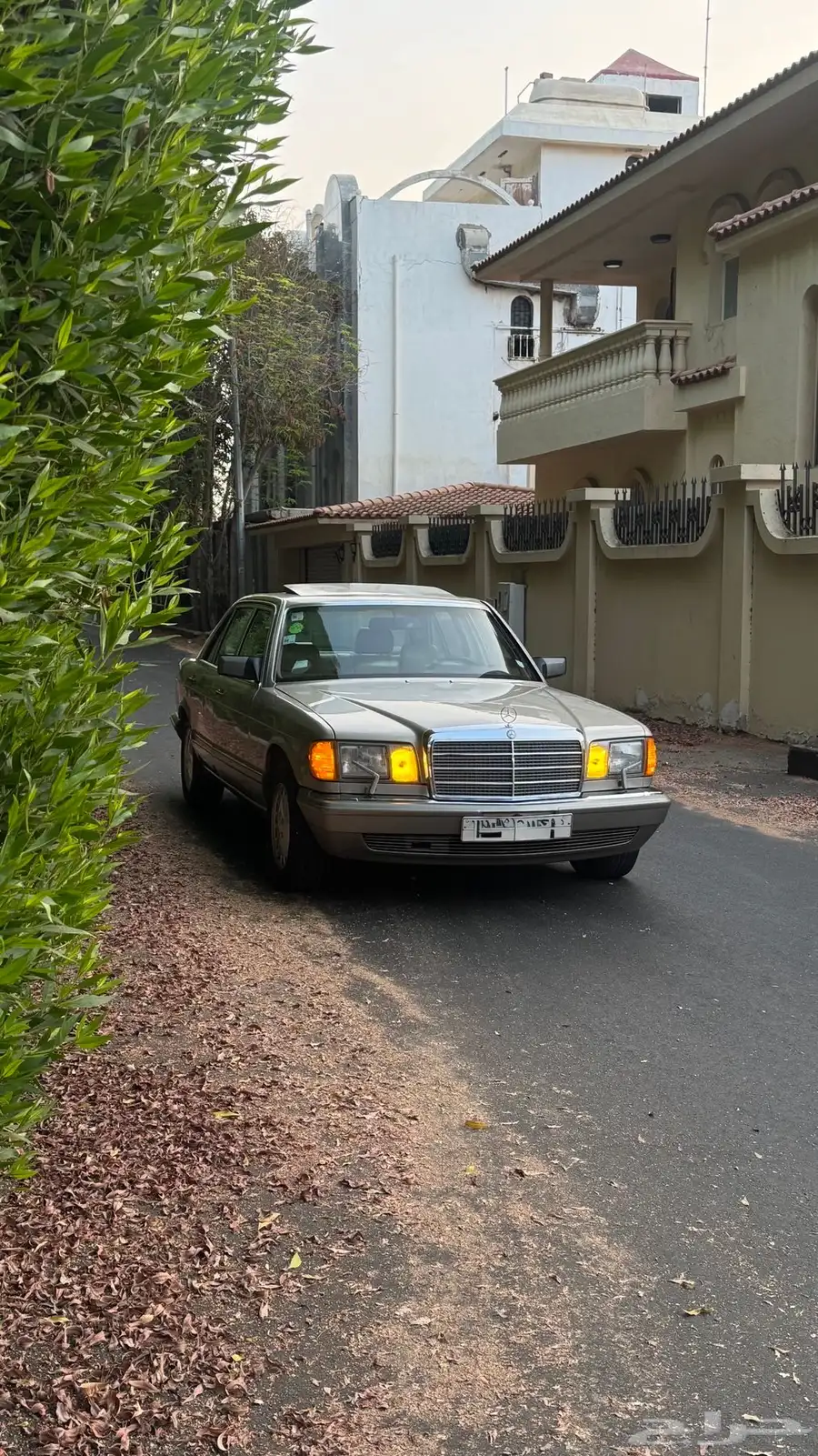 للبيع مرسيدس SEL300 1989 لهواة النوادر والمخزن 2