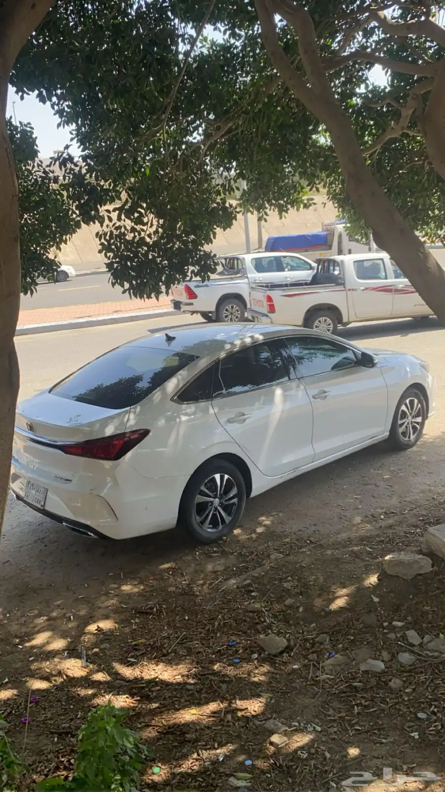 لتقبيل شأن جان ايدو بلس الممشى 150 0