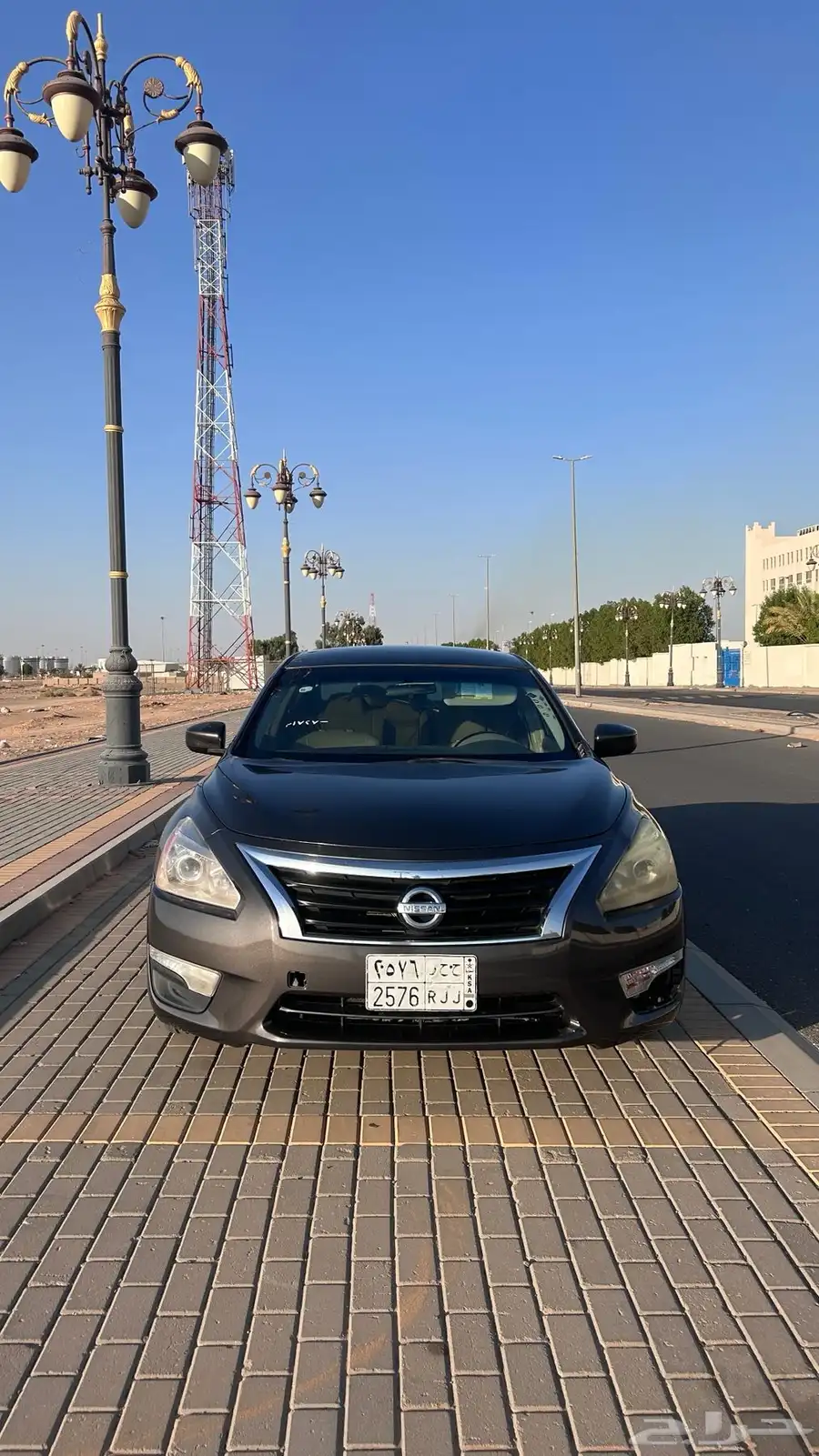 التيماء 2013 2