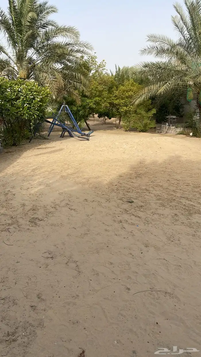للايجار استراحه متكامله مساحه 4400م مع سكن كبير 2