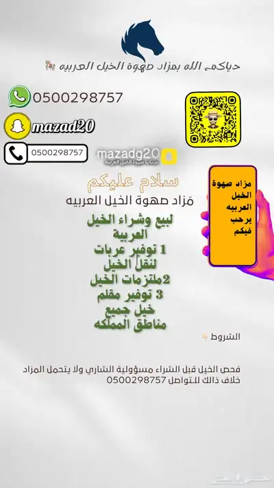 مزاد صهوة الخيل العربية حيااكم الله 0