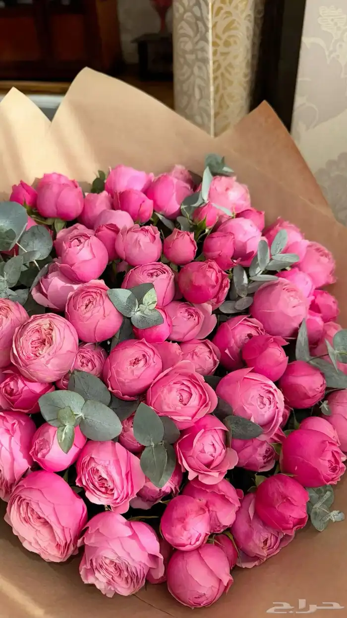 ورد طبيعي بسعر الجمله 0