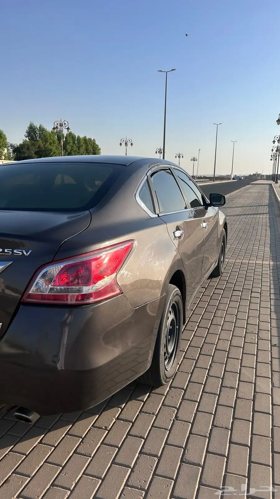 التيماء 2013 4