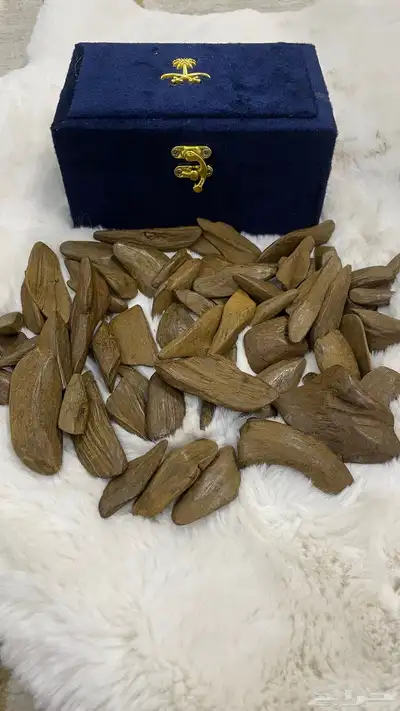 عود كسر مباخر موروكي محسن فاخر 3