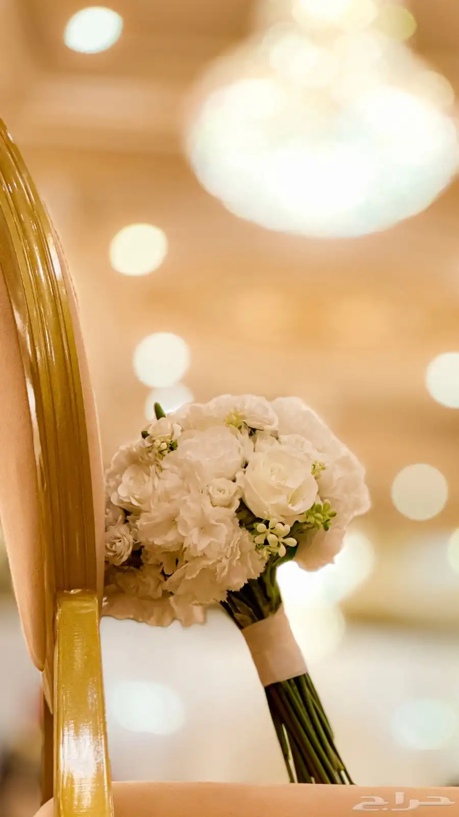 مصورة منتجات 1
