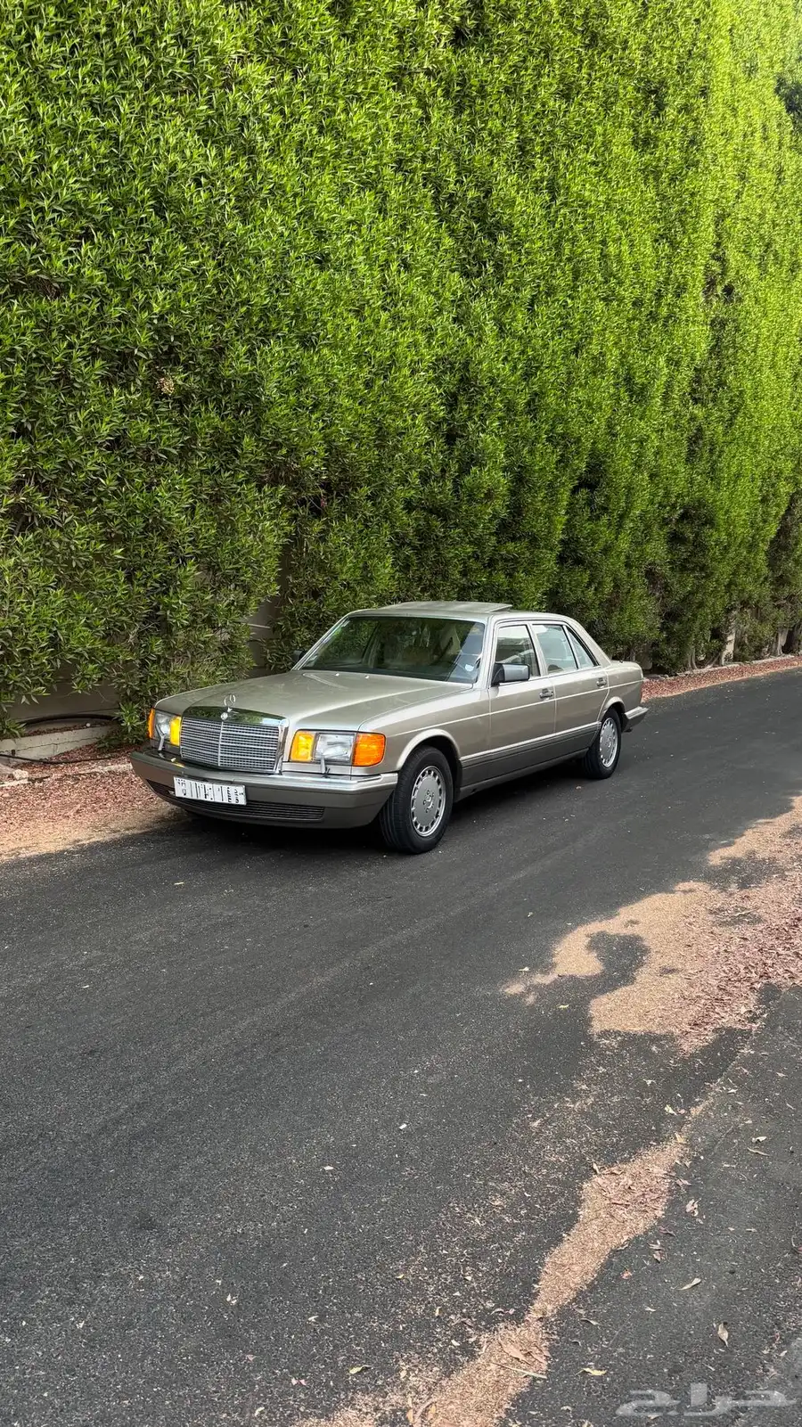 للبيع مرسيدس SEL300 1989 لهواة النوادر والمخزن 3
