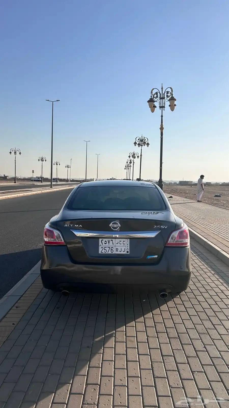 التيماء 2013 5