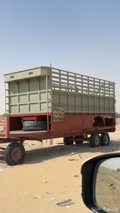 صندق عايدي مجدد كامل 0