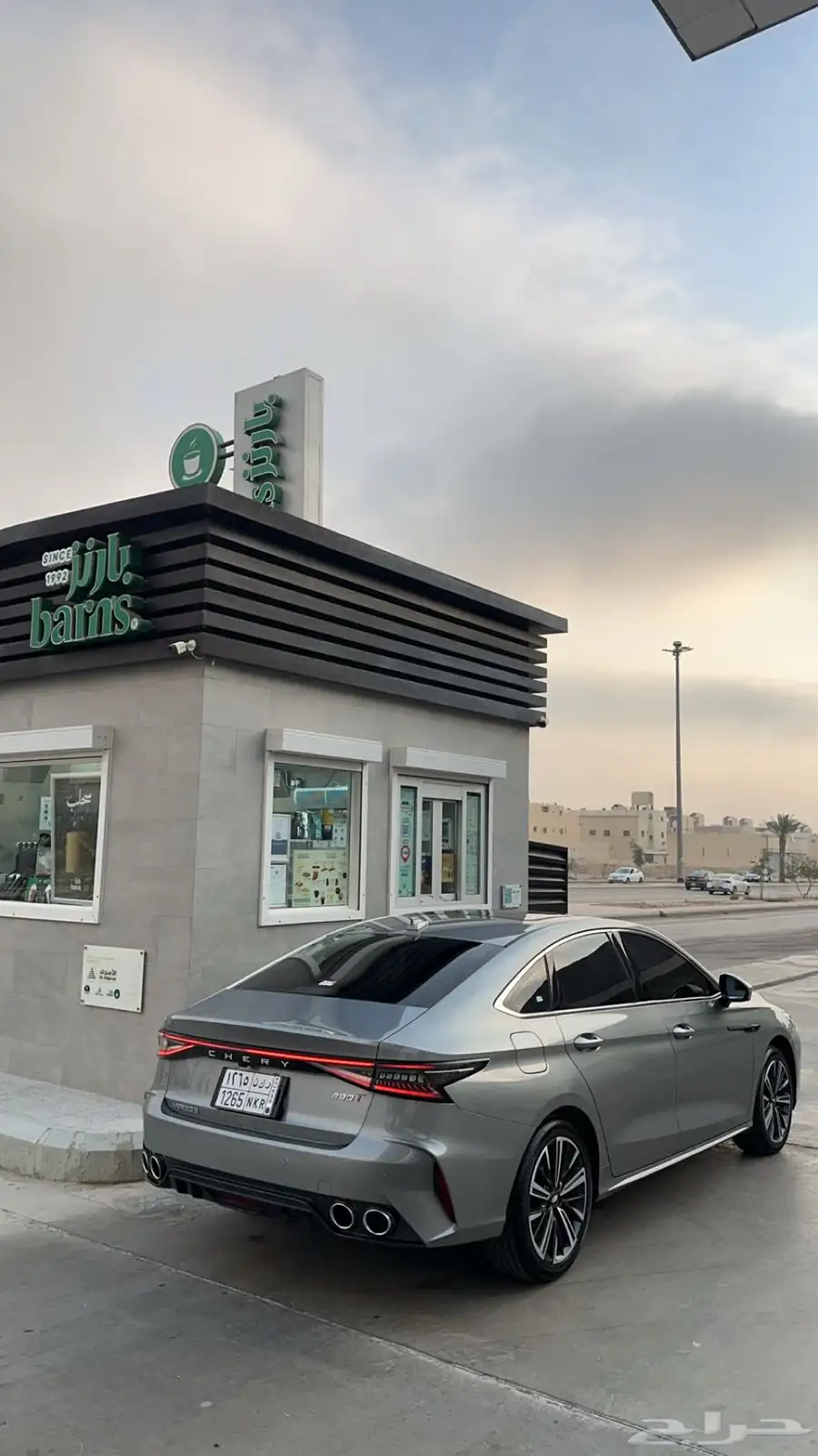 شيري اريزو 8 1