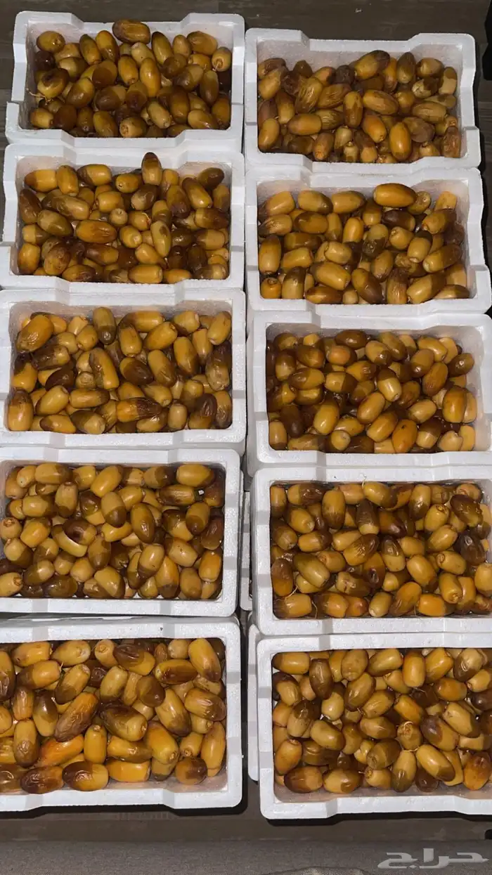 خرفه صفري الكميه حسب الطلب 0