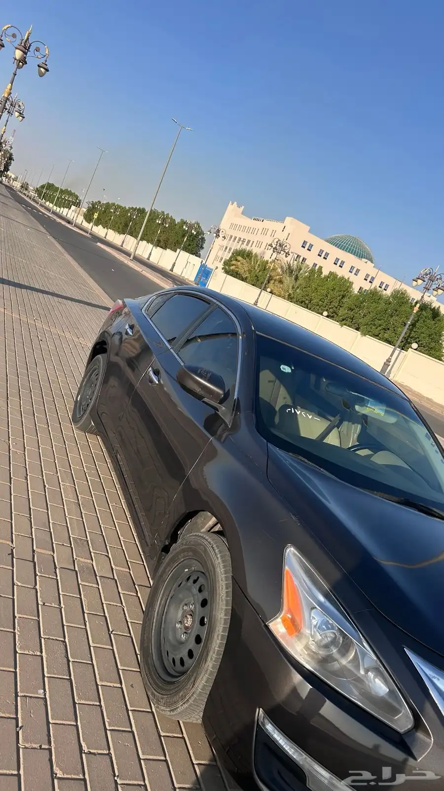 التيماء 2013 0