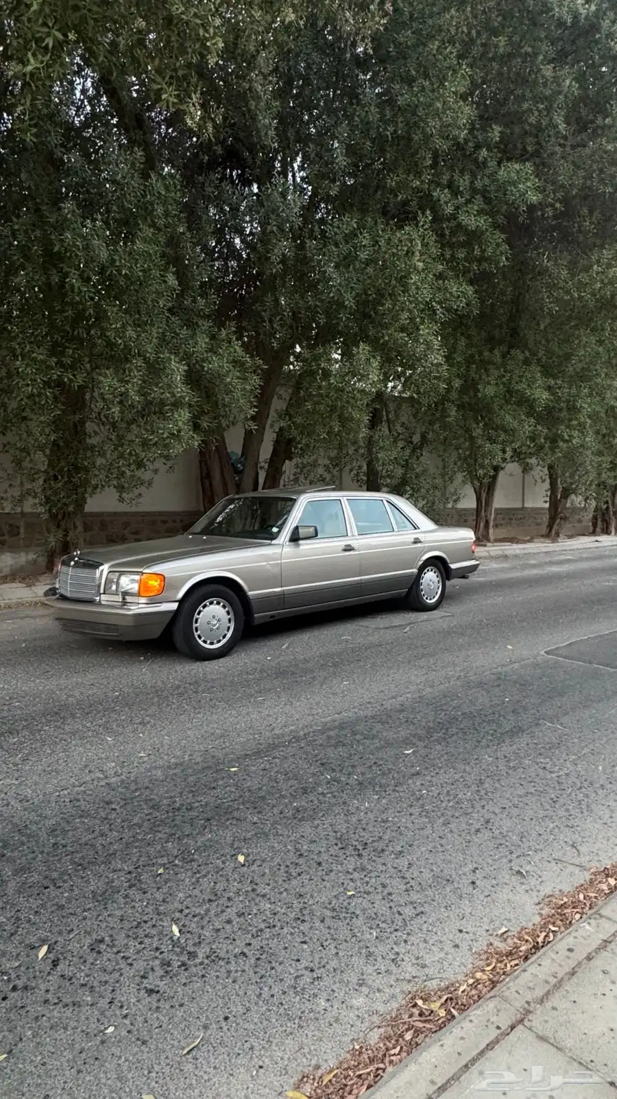 للبيع مرسيدس SEL300 1989 لهواة النوادر والمخزن 26