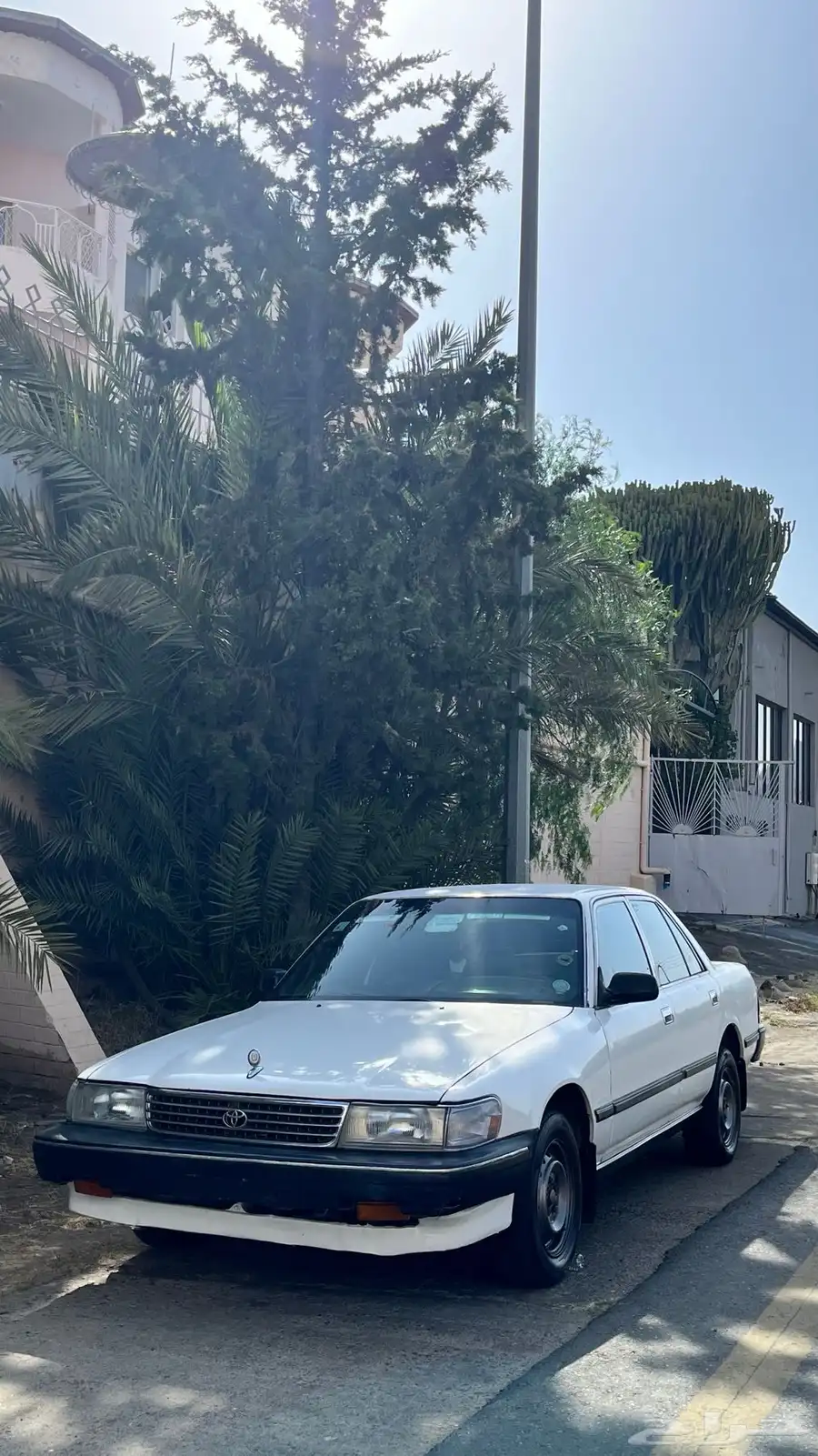 كرسيدا XL 95 للبيع 0