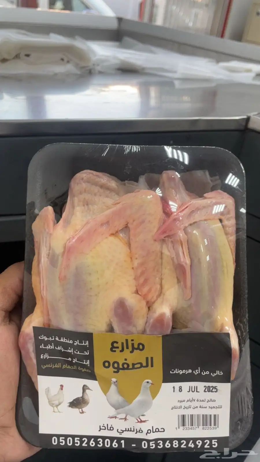 زغاليل فرنسي طازجه السعر 32 0