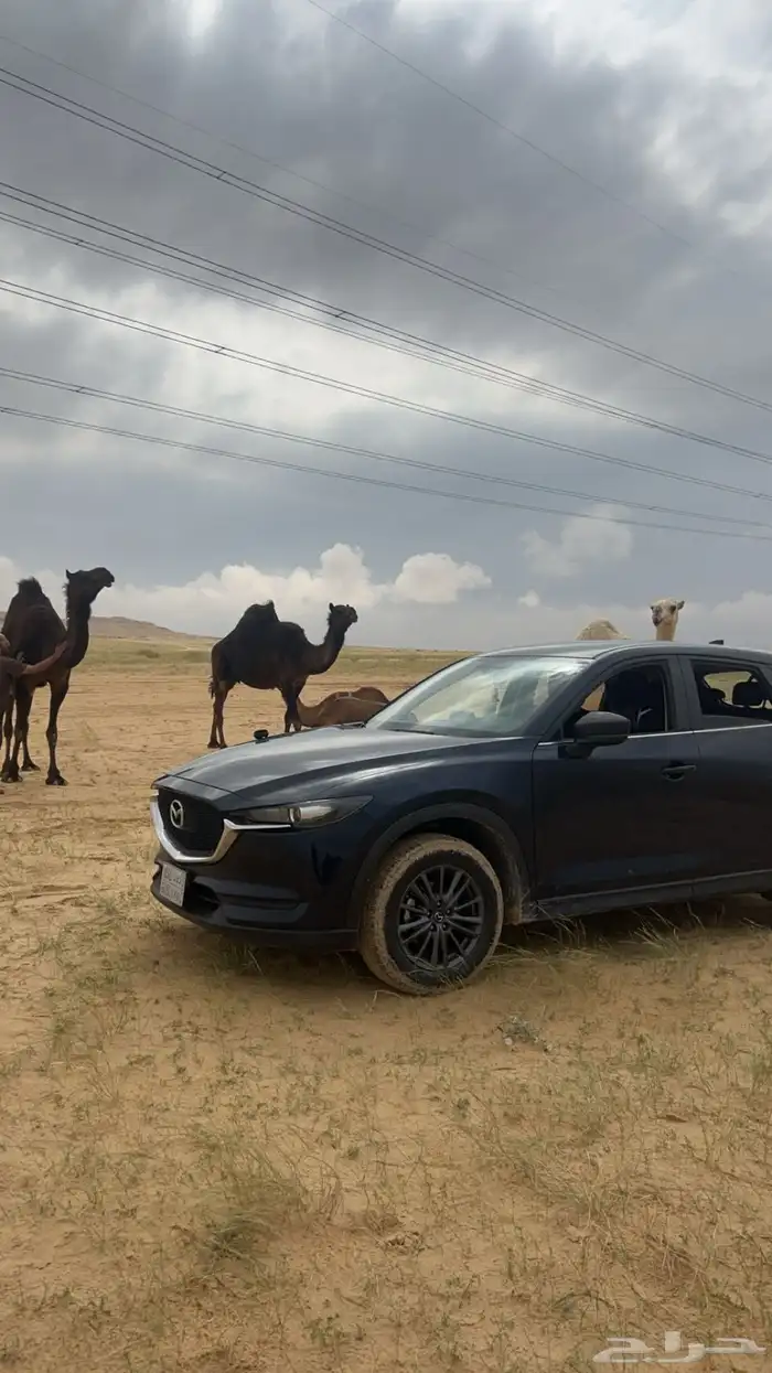 سيارة مازدا 2020 (CX5) 1