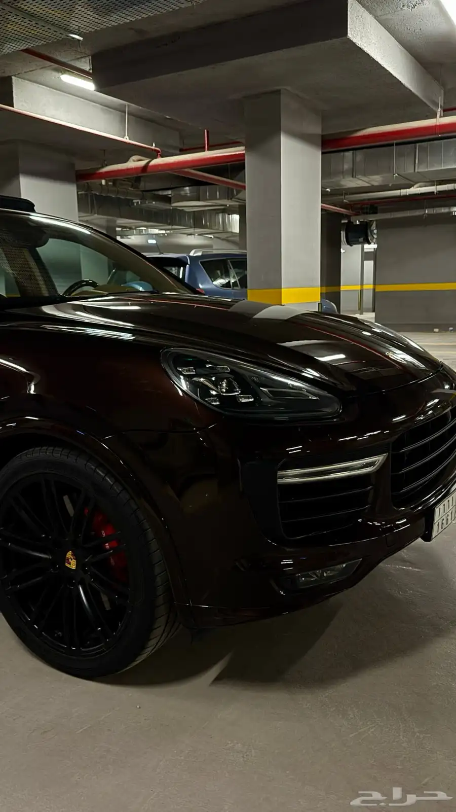 كايين GTS 2016 مخزن 19