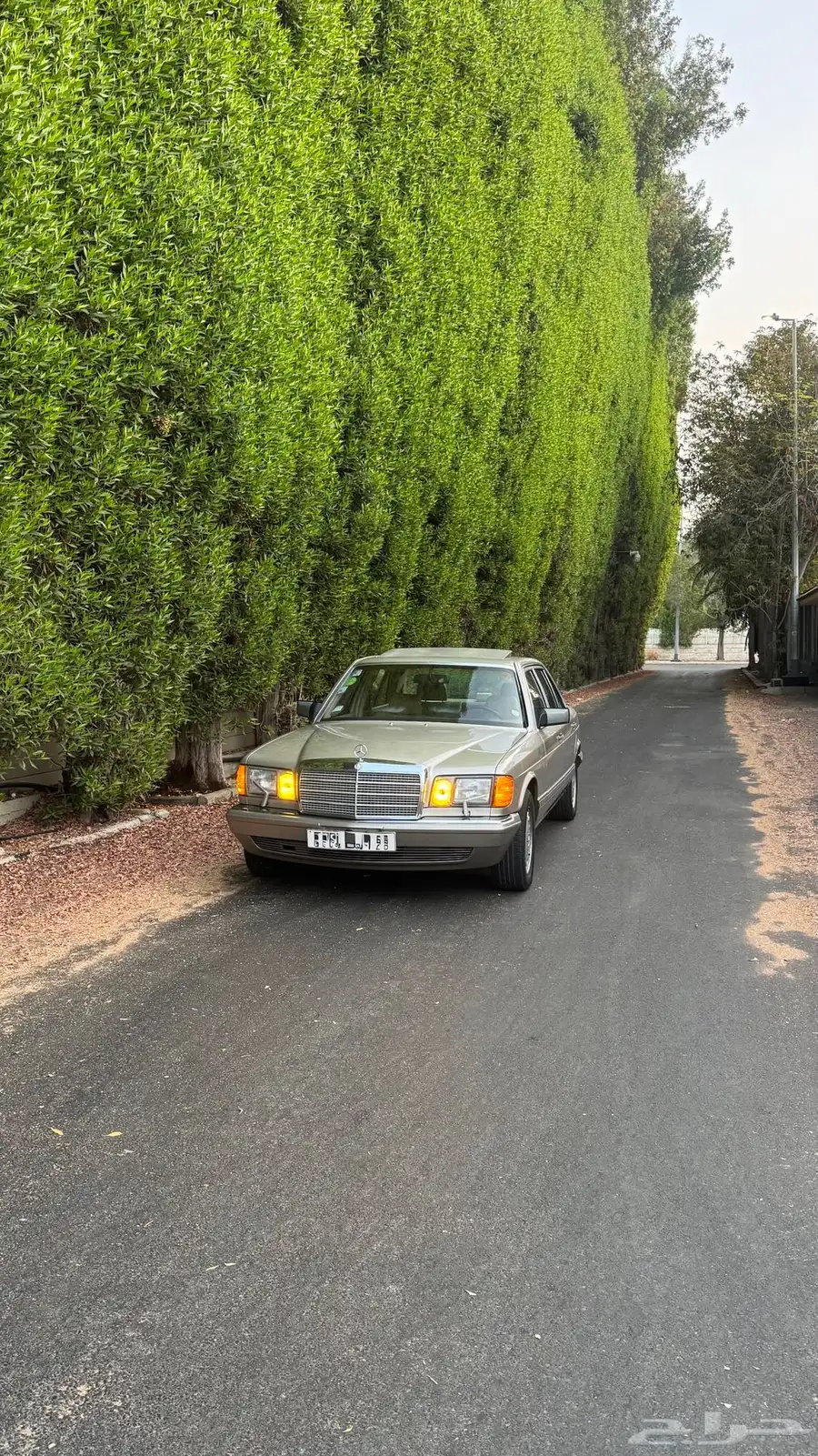 للبيع مرسيدس SEL300 1989 لهواة النوادر والمخزن 4