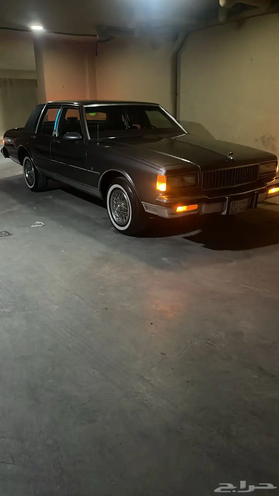 كابرس 1988 28