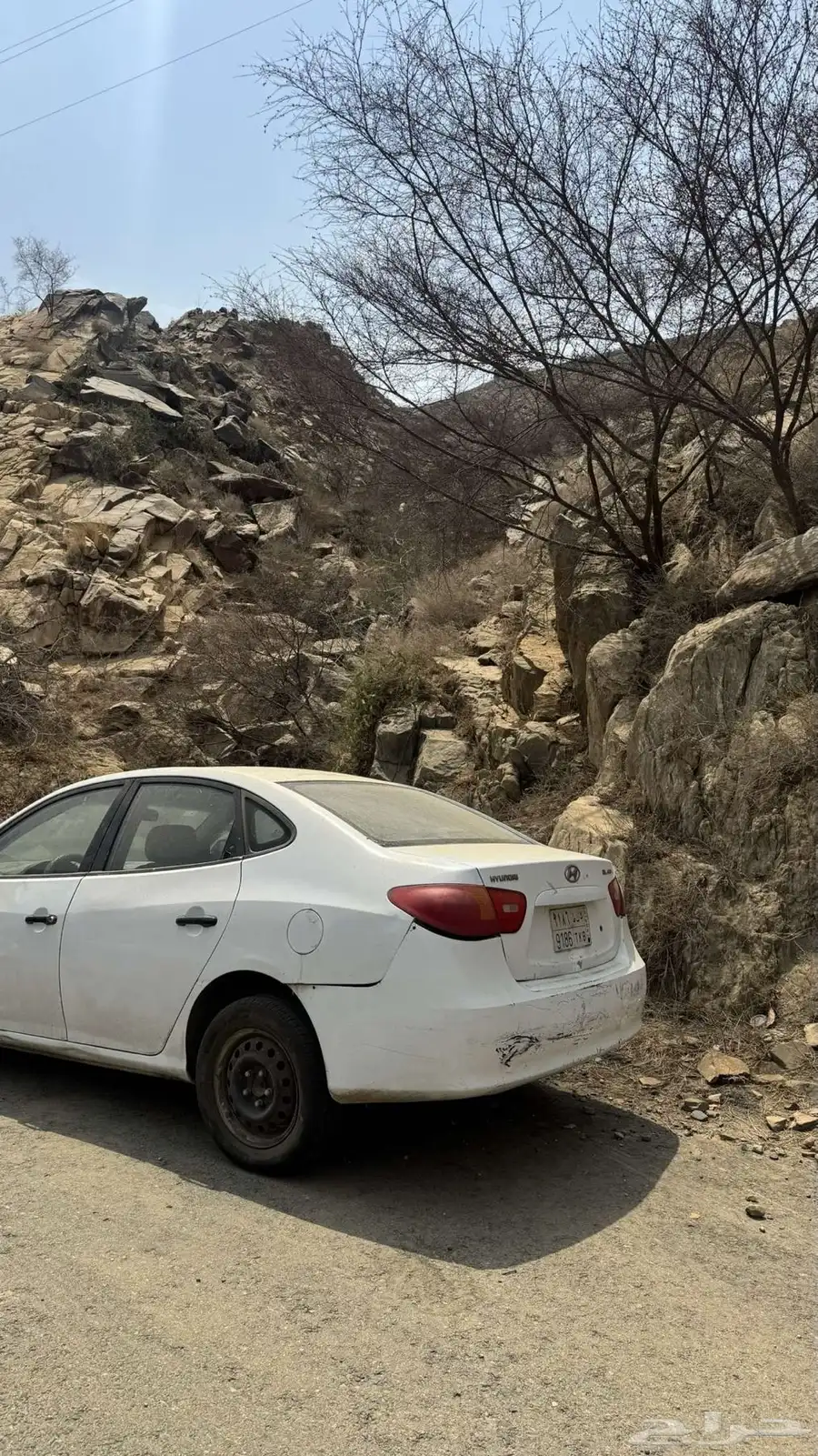 النترا 2010 0