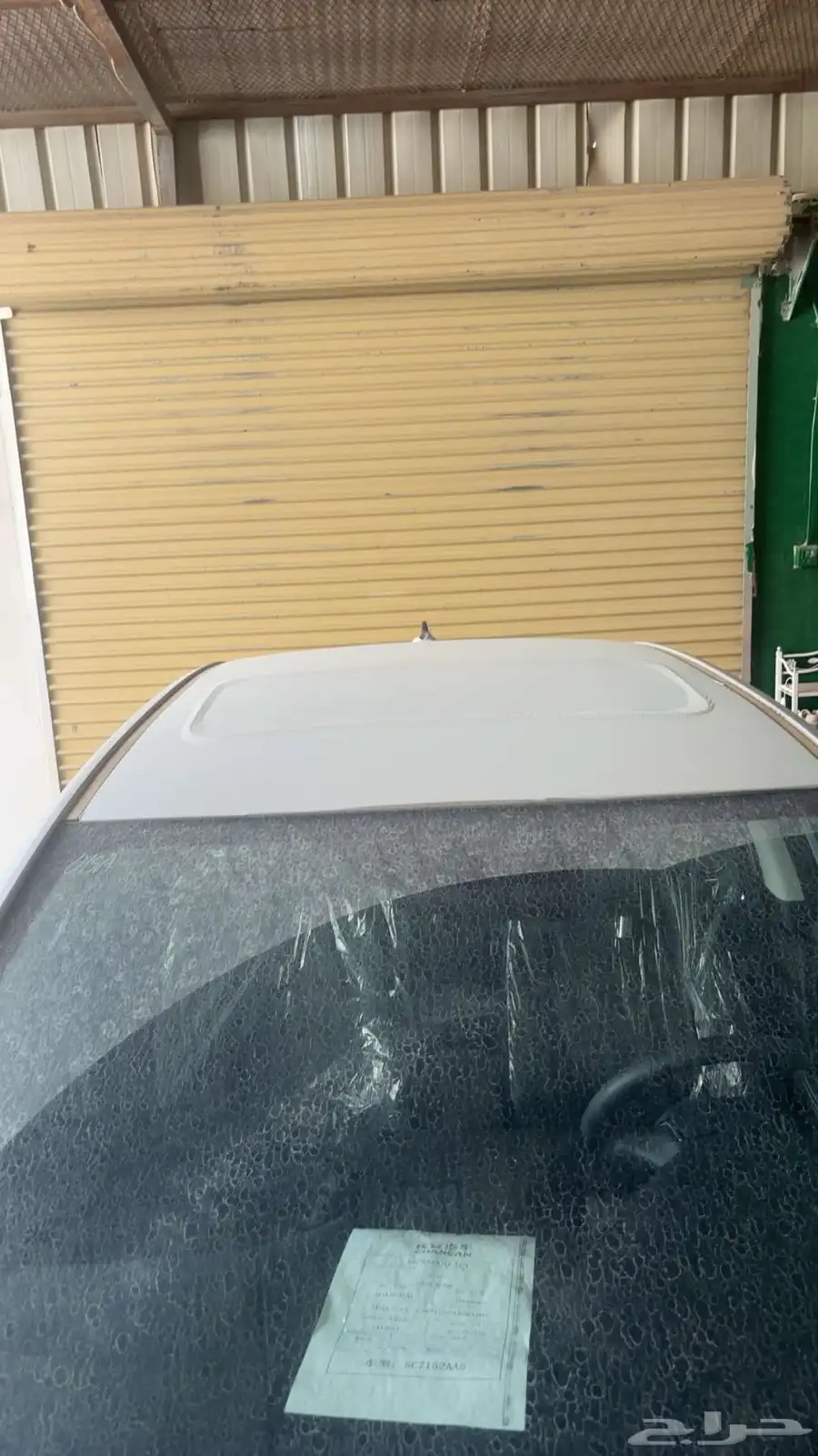 شانجان السفن 2025 10
