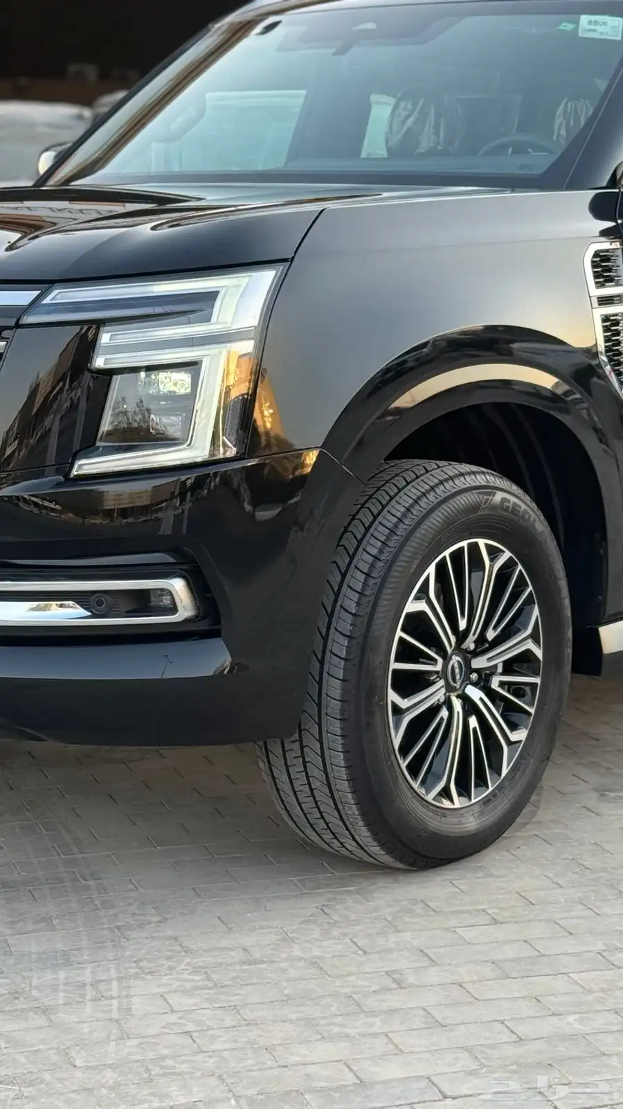 باترول بلاتينيوم (تنفس طبيعي) 2025 3