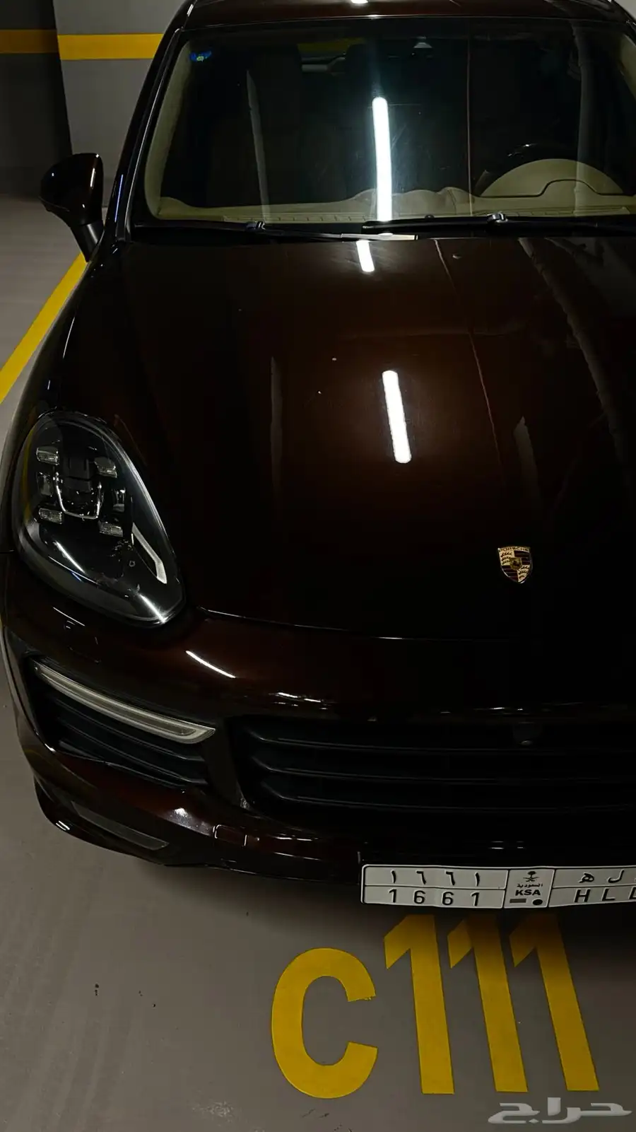 كايين GTS 2016 مخزن 23