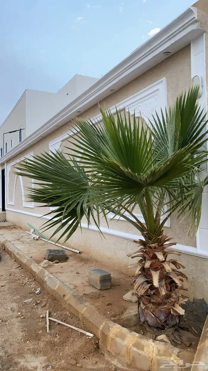 استراحه للبيع شارعين 506 م غربي جنوبي بضرما 7